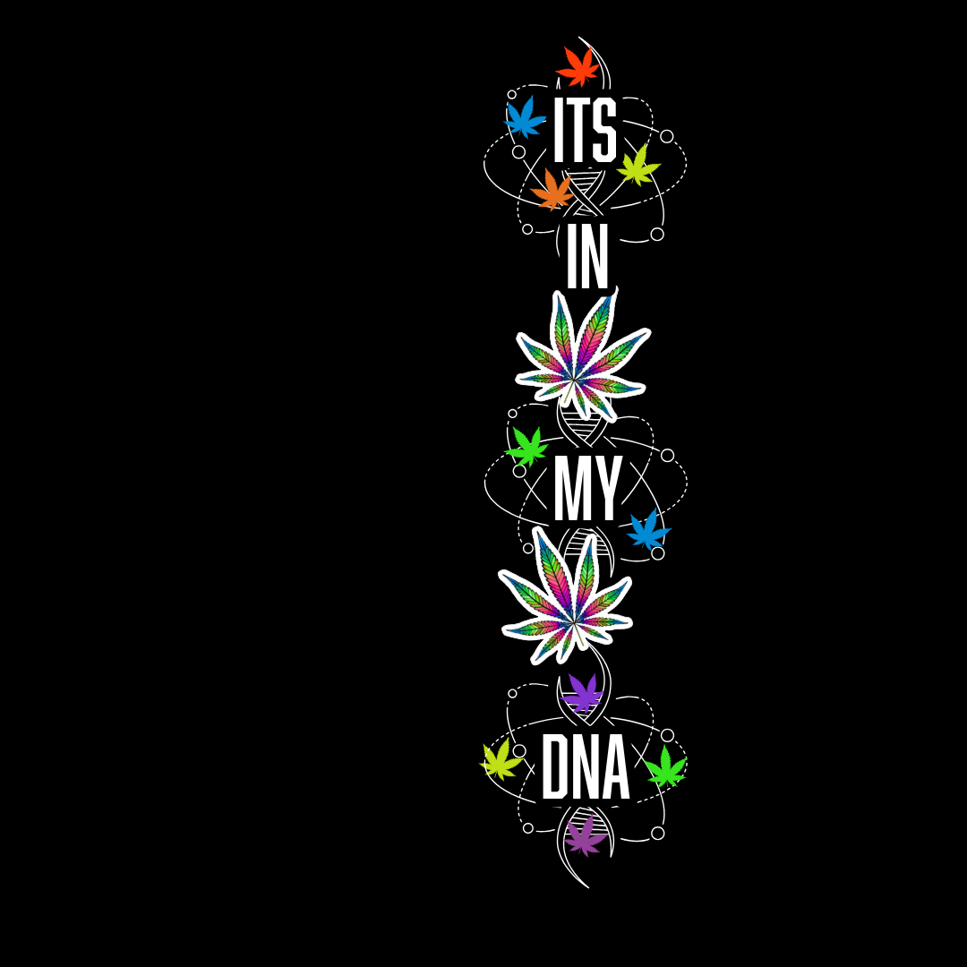 Hash Bash 2025 Collection