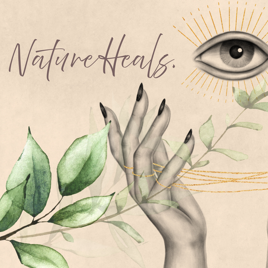 🌿 The Healing Power of Natural Fibers: Why Cotton Supports a Healthier You