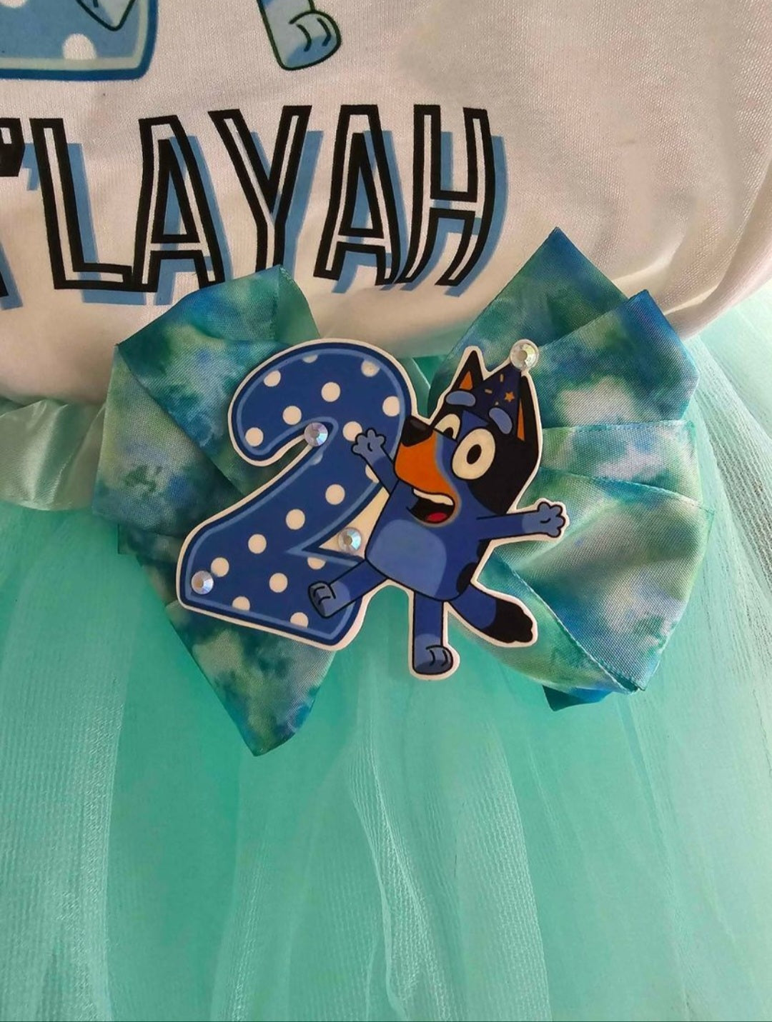 Character top, bows and tutu