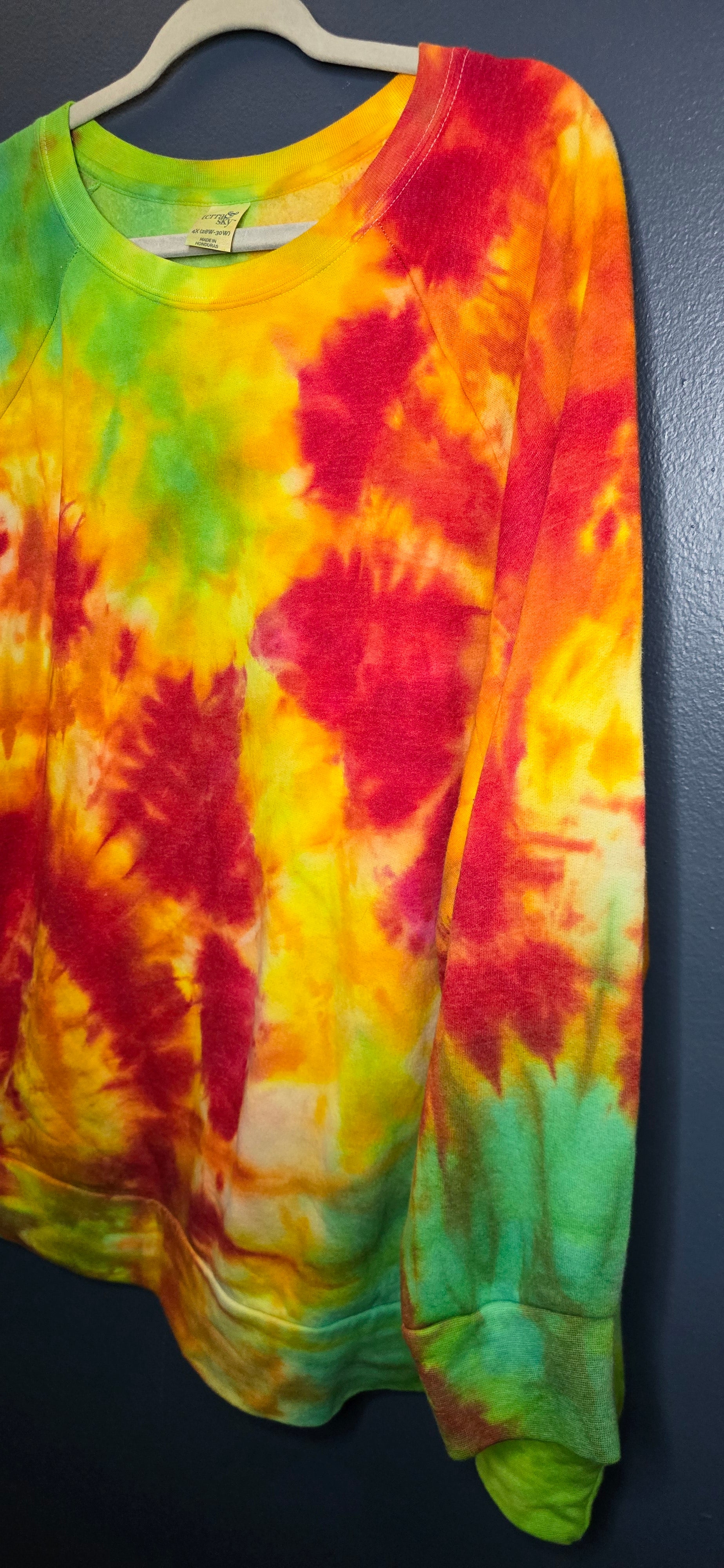 🌈 Hand-Dyed Bright Burst Sweatshirt – Terra & Sky 4X