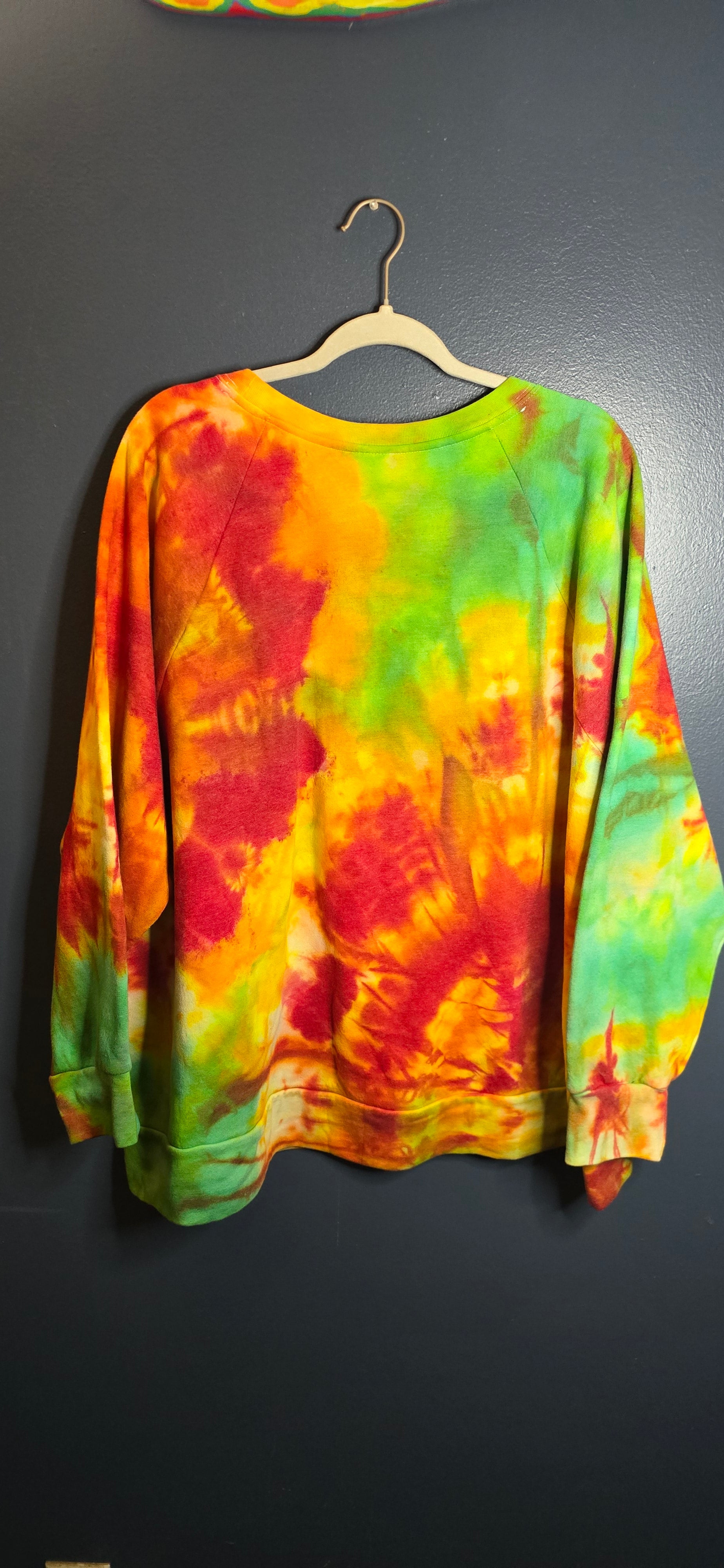 🌈 Hand-Dyed Bright Burst Sweatshirt – Terra & Sky 4X