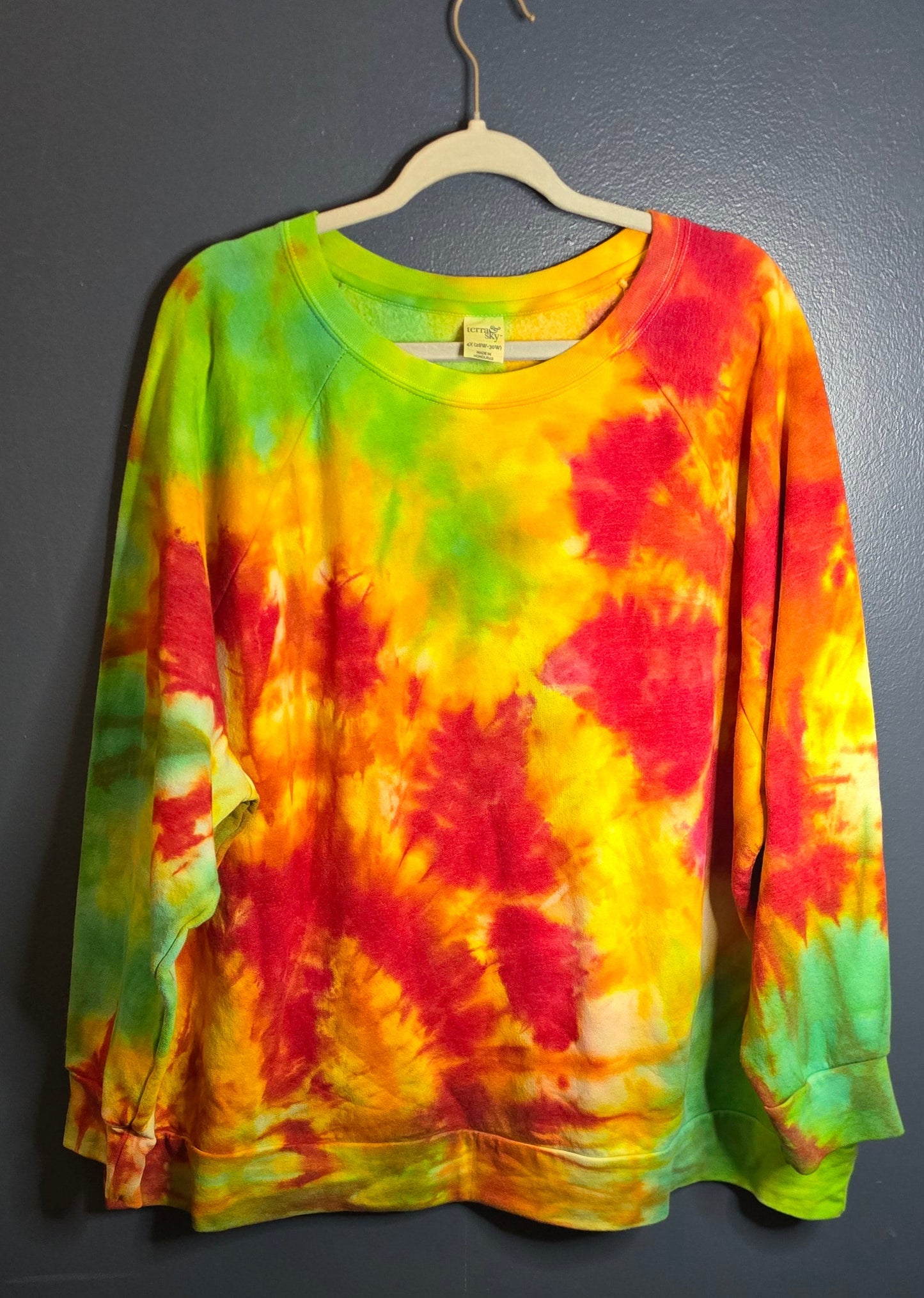 🌈 Hand-Dyed Bright Burst Sweatshirt – Terra & Sky 4X