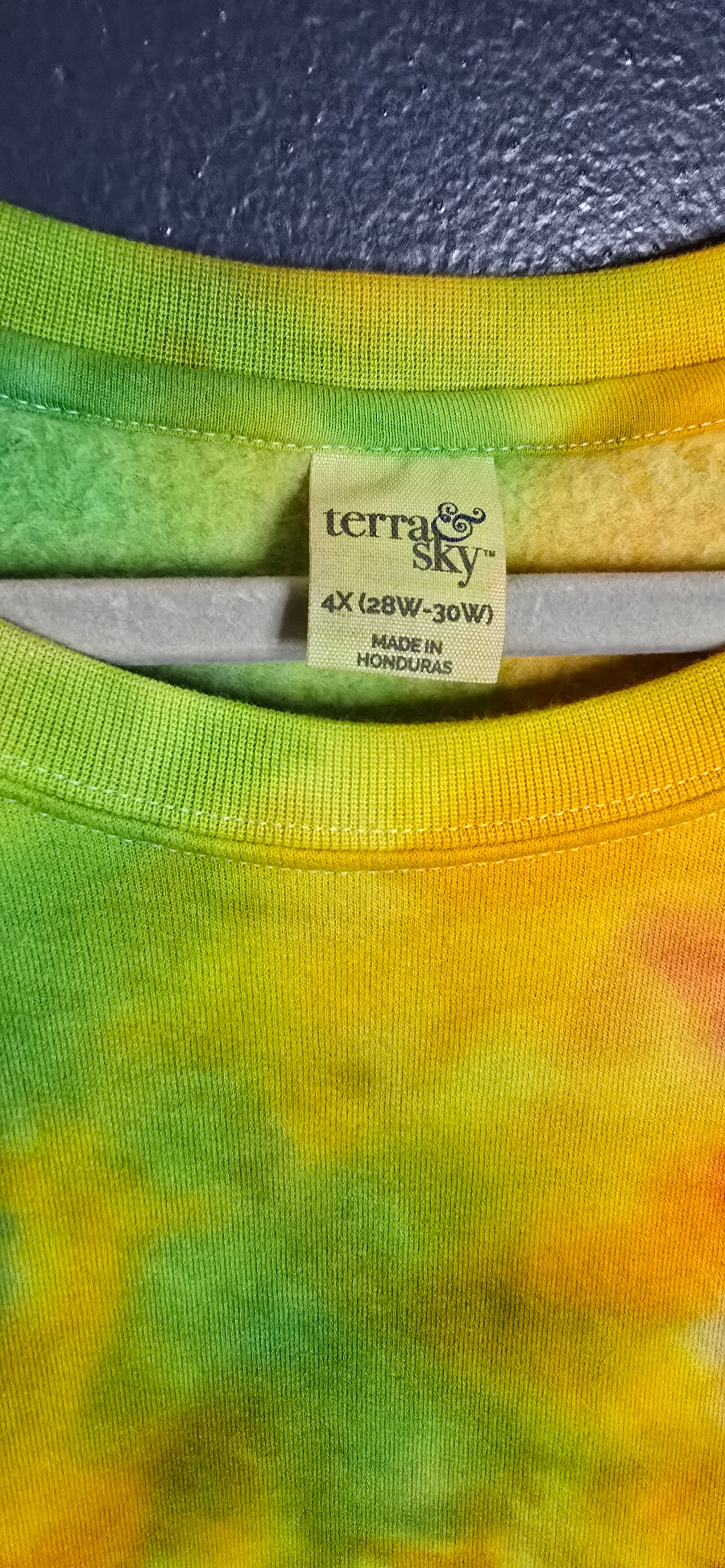 🌈 Hand-Dyed Bright Burst Sweatshirt – Terra & Sky 4X