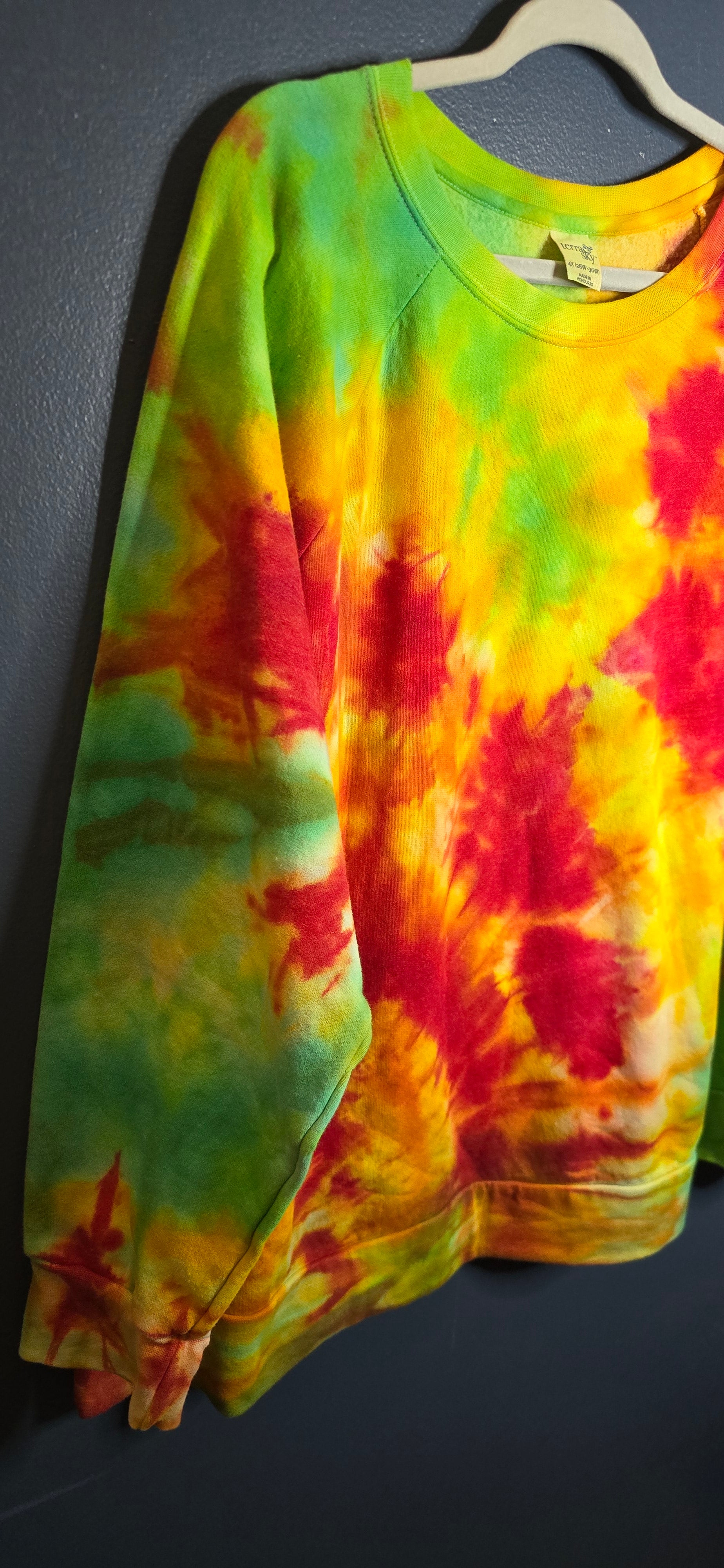 🌈 Hand-Dyed Bright Burst Sweatshirt – Terra & Sky 4X